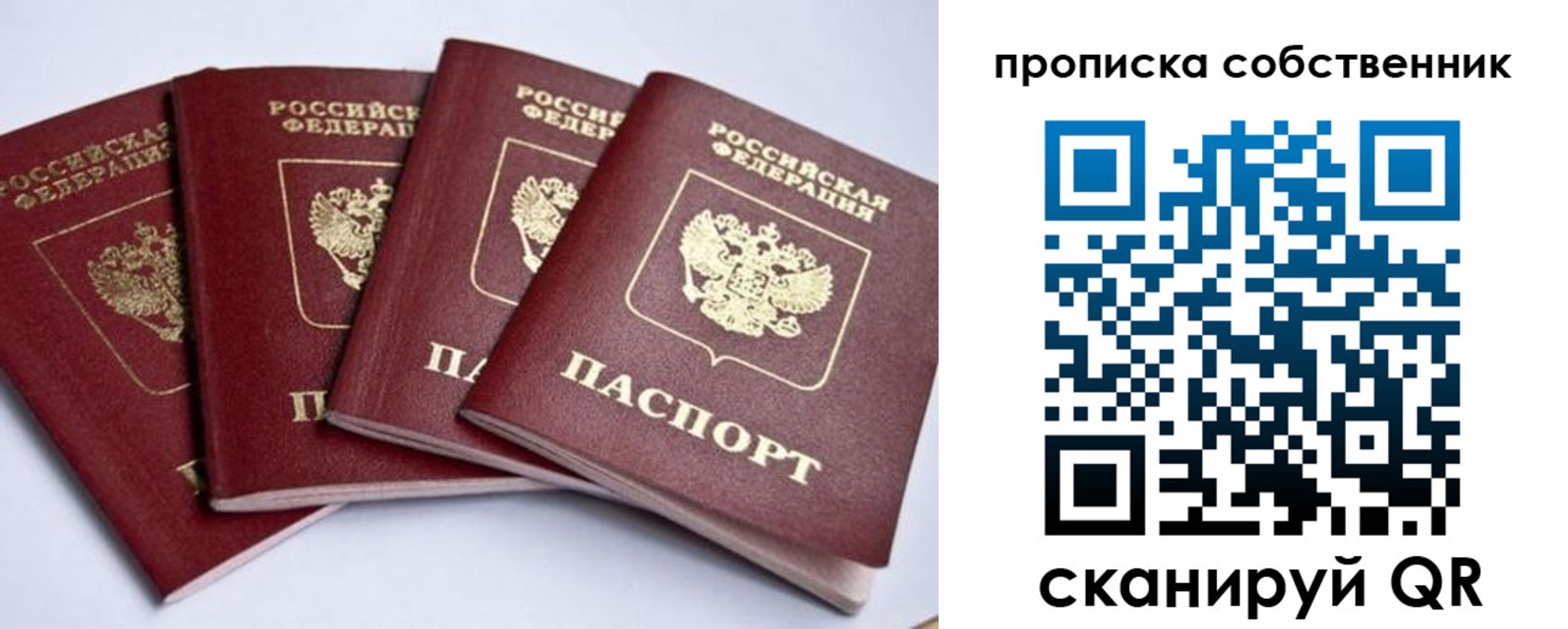 миграционный учет в Кингисеппе
